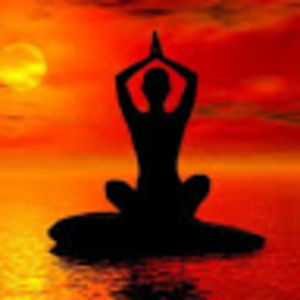 Meet your Posher, C.c.